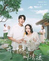 有种味道叫清溪 封面