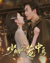 少帅的笼中鸟 高清封面