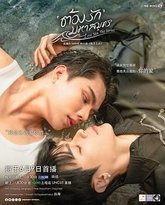 海洋之恋 高清封面