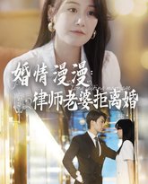 婚情漫漫：律师老婆拒离婚 封面