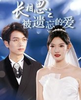 长相思之被遗忘的爱（以你的名字呼唤我） 高清封面