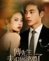 傅先生夫人又闹离婚了 高清封面