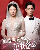 离婚当天老公拉我备孕 高清封面