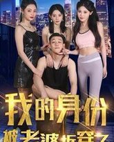 我的身份被老婆拆穿了 高清封面