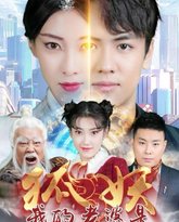 我的老婆是狐妖 高清封面