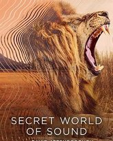 大卫·艾登堡：大自然的声音 高清封面