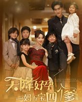 天降好孕，一妈五宝四个爹 高清封面