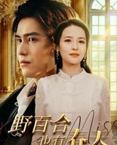 野百合也有春天 高清封面