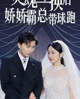 灵魂互换后娇娇霸总带球跑 高清封面