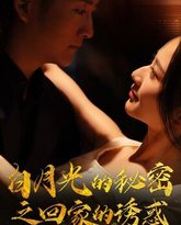 白月光的秘密之回家的诱惑 高清封面