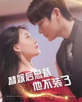替嫁后总裁他不装了 高清封面