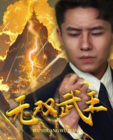 无双武王 高清封面