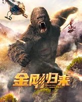 金刚归来 高清封面