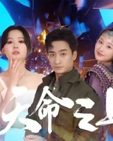 天命之上 高清封面