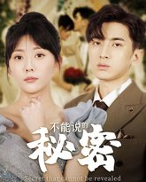 不能说的秘密 高清封面