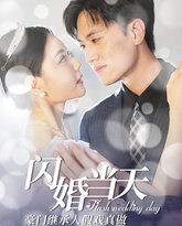 闪婚当天豪门继承人假戏真做 高清封面