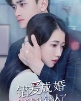 错爱成婚：陆总你认错人了 高清封面