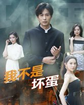 我不是坏蛋 高清封面