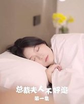 总裁夫人不好追 高清封面