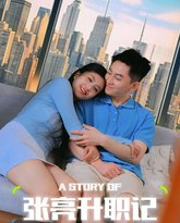 张亮升职记 高清封面