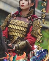 我的老婆是大夏武圣 高清封面