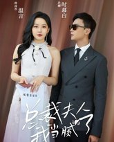 总裁夫人我当腻了 高清封面