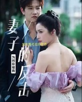 妻子的反击 高清封面