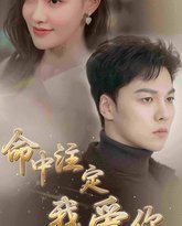 新命中注定我爱你 高清封面
