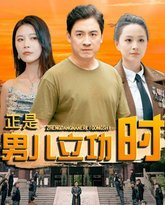 正是男儿立功时 高清封面