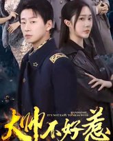 大帅不好惹 封面