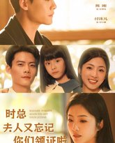 时总，夫人又忘记你们领证啦 高清封面