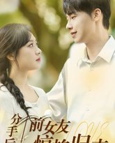 分手后，前女友惊艳归来 高清封面