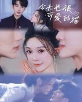 今天也很可爱的猫 高清封面