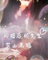 闪婚后，顾先生禁止离婚 高清封面