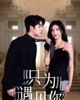 只为遇见你 高清封面