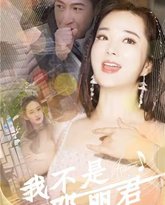 我不是邓丽君 高清封面