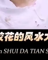 美女校花的风水大天师 高清封面