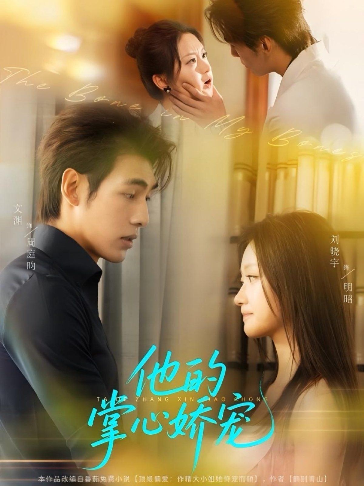 他的掌心娇宠 高清封面