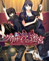 灰色的迷宫 封面