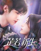 芷若新生 高清封面