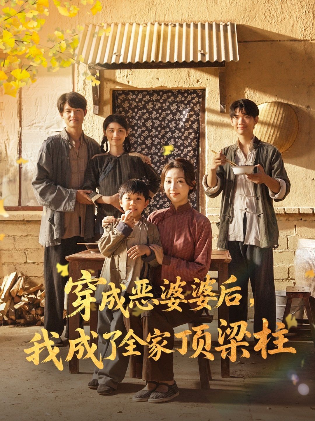 穿成恶婆婆后我成了全家顶梁柱 高清封面