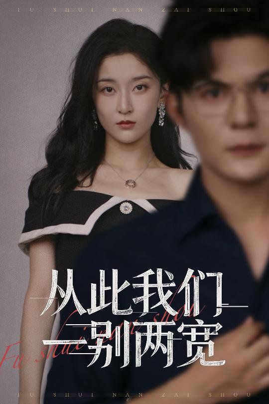 从此我们一别两宽 高清封面