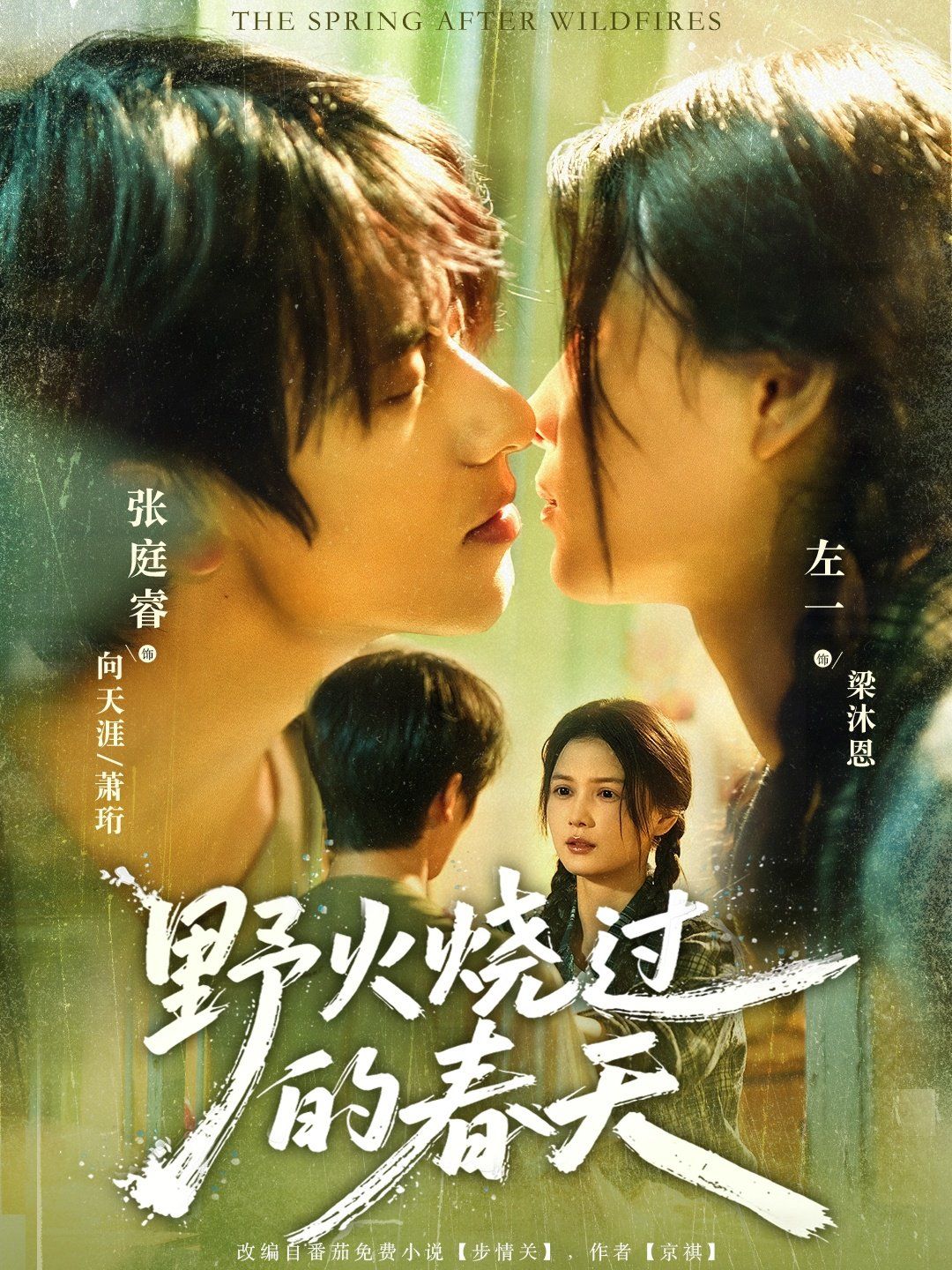 野火烧过的春天 高清封面