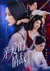 亲爱的情敌 高清封面