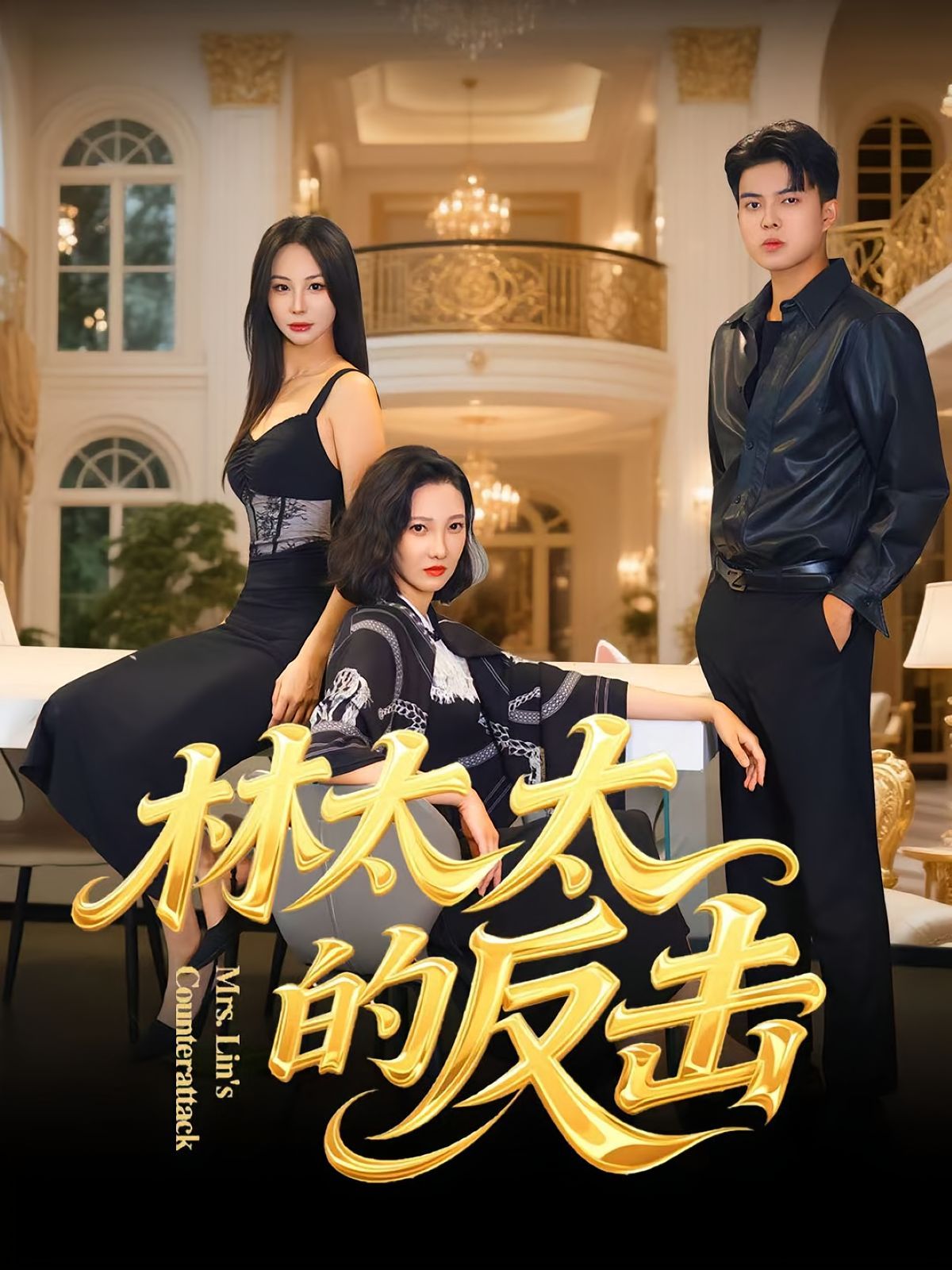 林太太的反击 高清封面