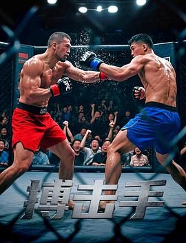 搏击手 热播剧封面