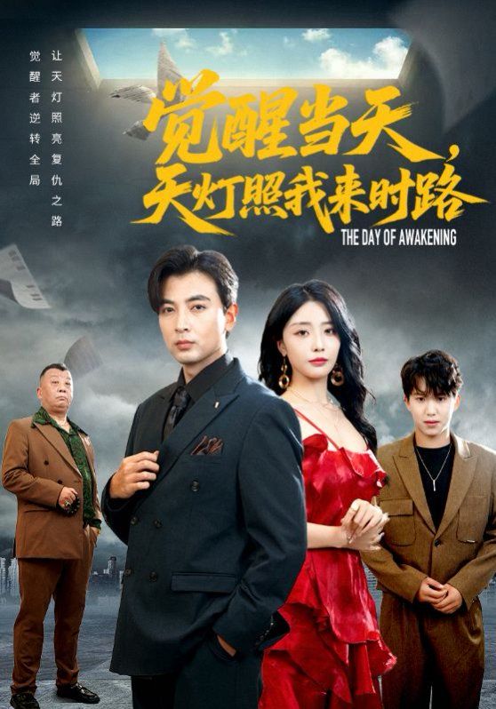 觉醒当天天灯照我来时路 高清封面