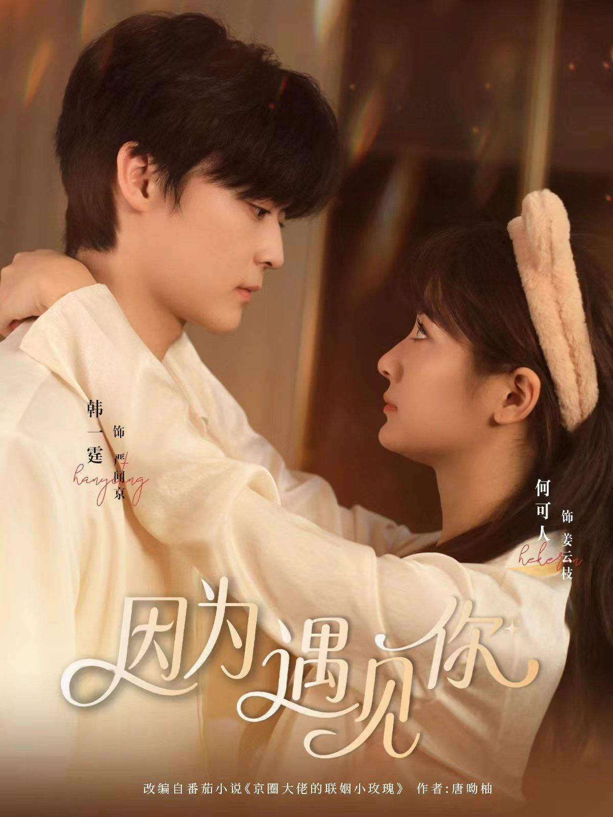 因为遇见你 高清封面