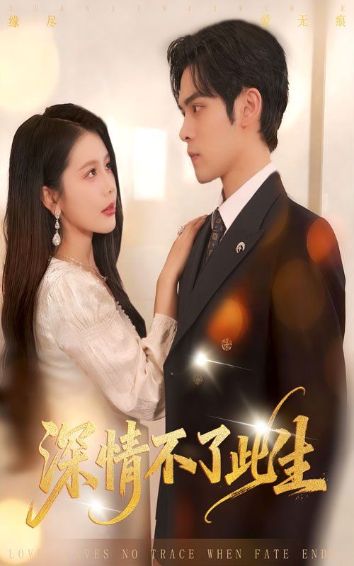 深情不了此生 高清封面