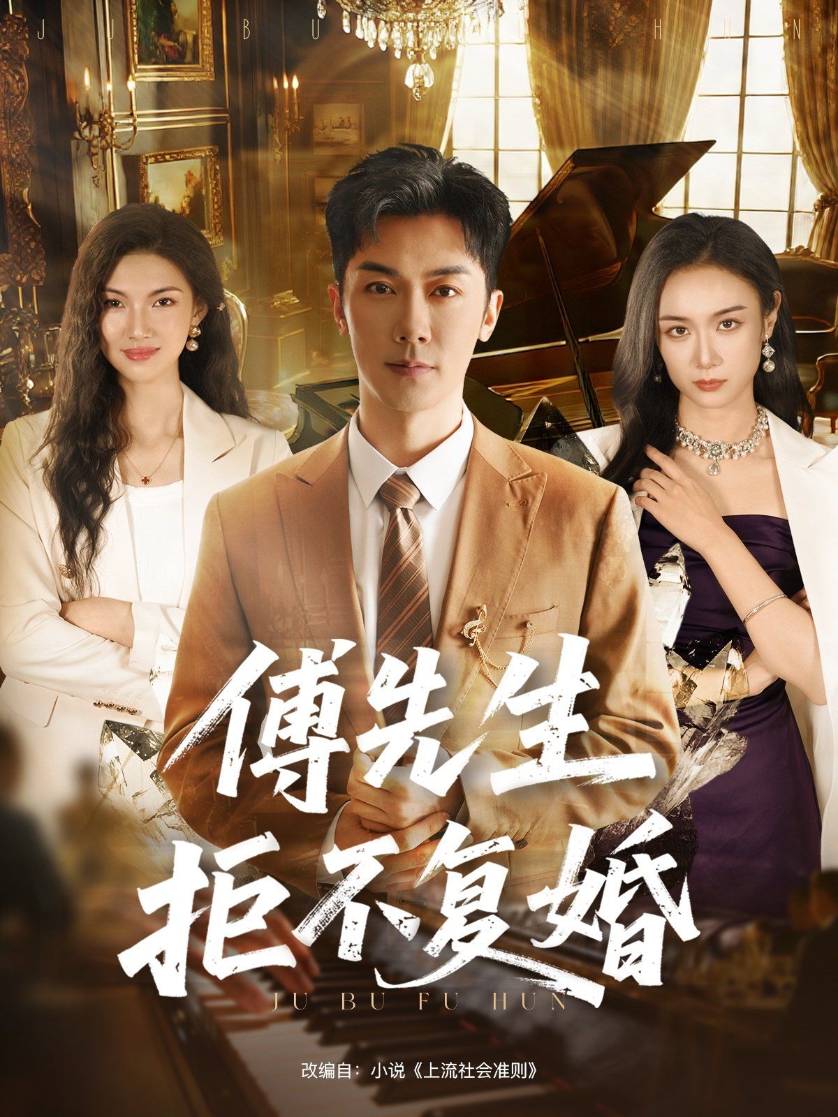 傅先生拒不复婚 高清封面